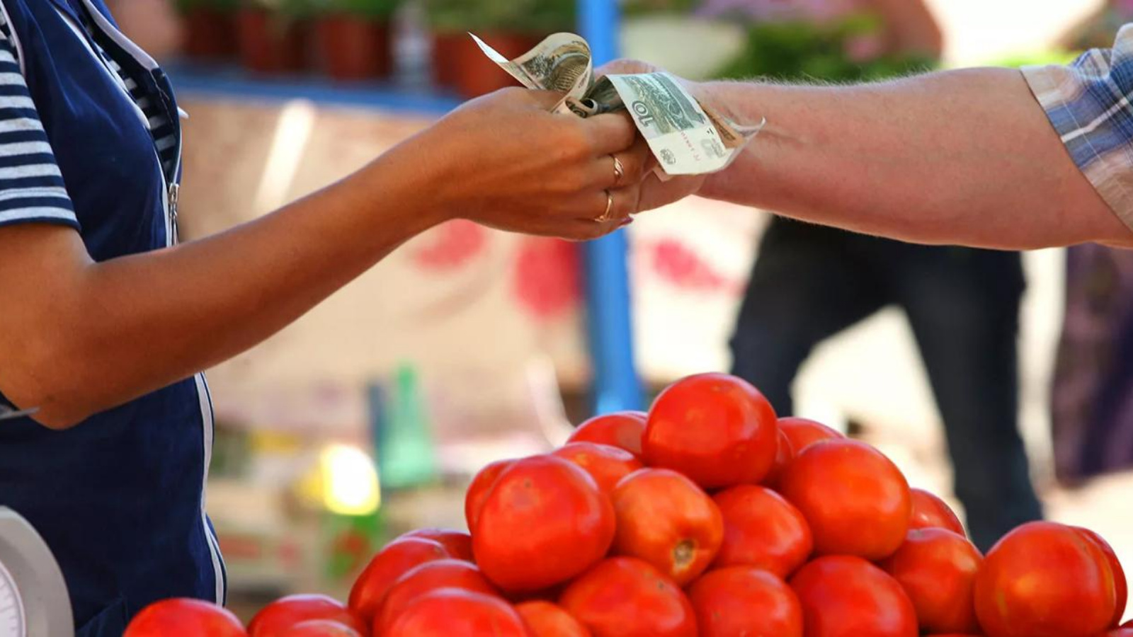 Торговец на рынке. Свободный рынок и рыночная экономика. Человек овощ. На рынке и предлагаем своим. Покупатель в магазине.