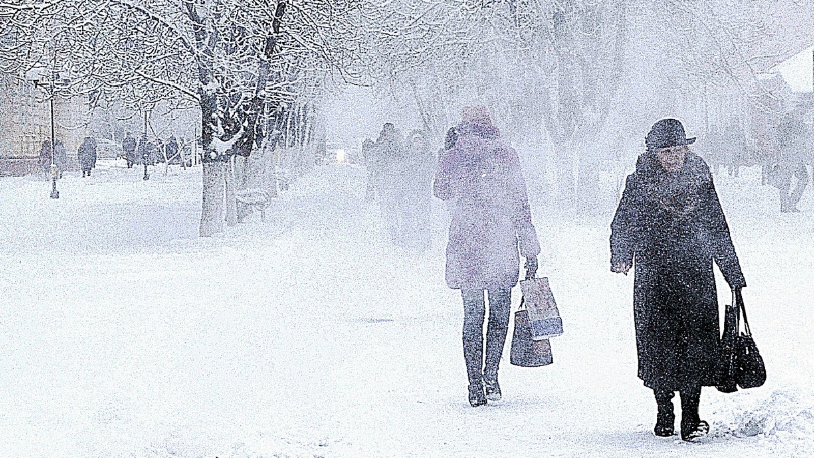 И снег и ветер. Метель в городе. Зимняя Пурга в городе. Зима метель в городе. Вьюга в городе.