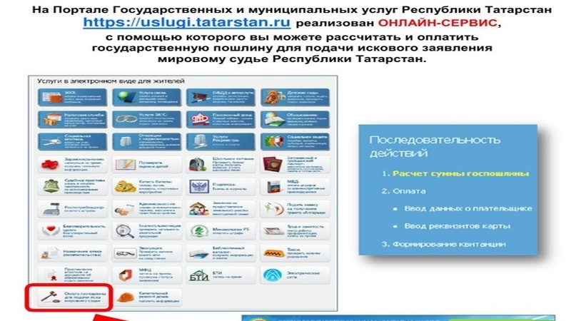 Государственные услуги в республике татарстан. ООО цифровой сервис (Республика Татарстан). Цифровая поддержка гос.услуг " забота" в Татарстане. Как оплатить гос сектор. Сото гос плат консультация.