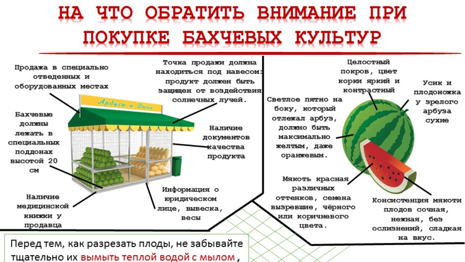 Отравление арбузом симптомы. Отравление от арбуза. Отравление арбузом. Отравление арбузом причины.