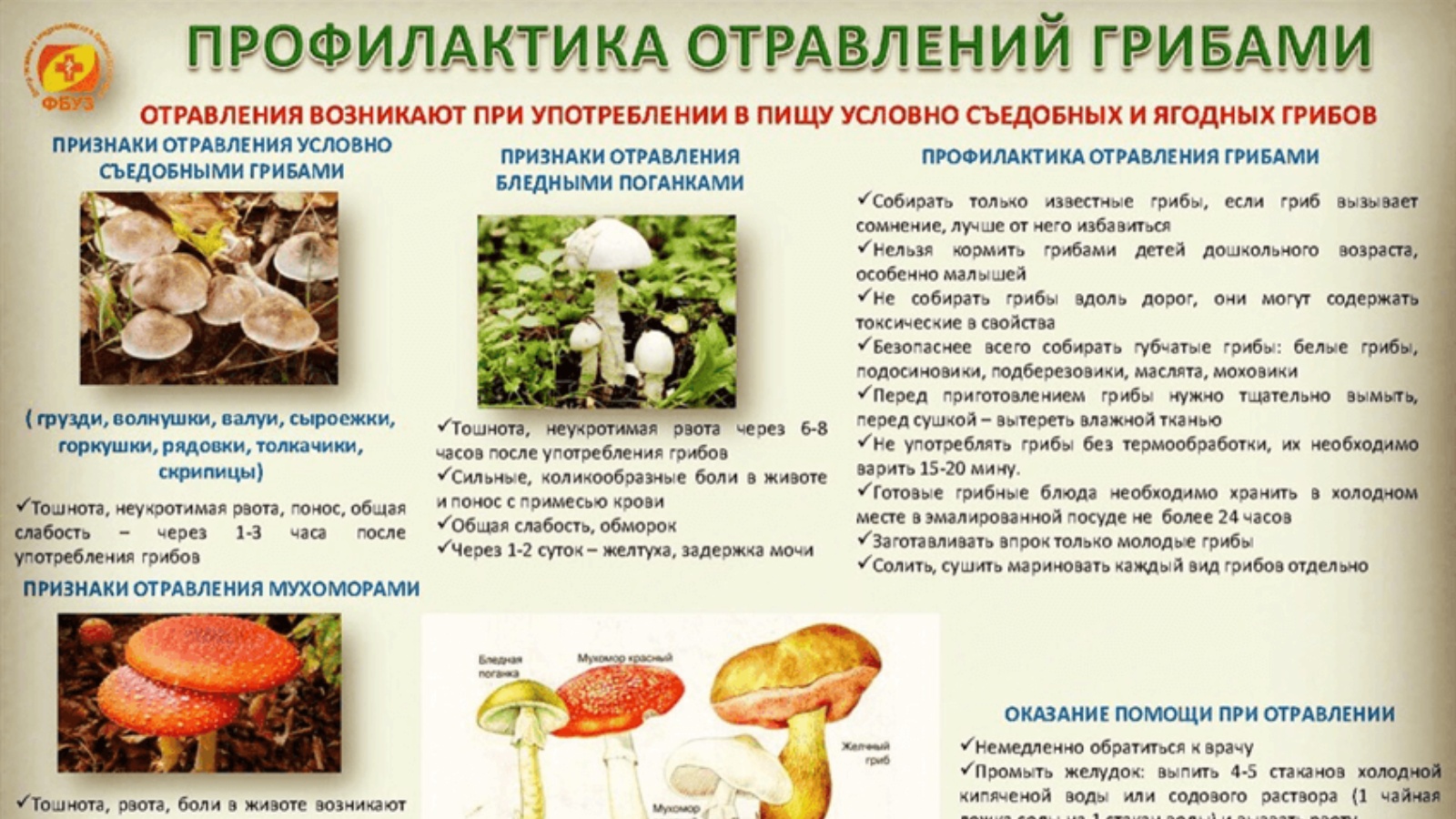 Перечислите меры профилактики отравлений грибами.