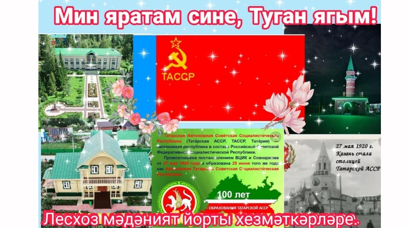 Яратам сине татарстан