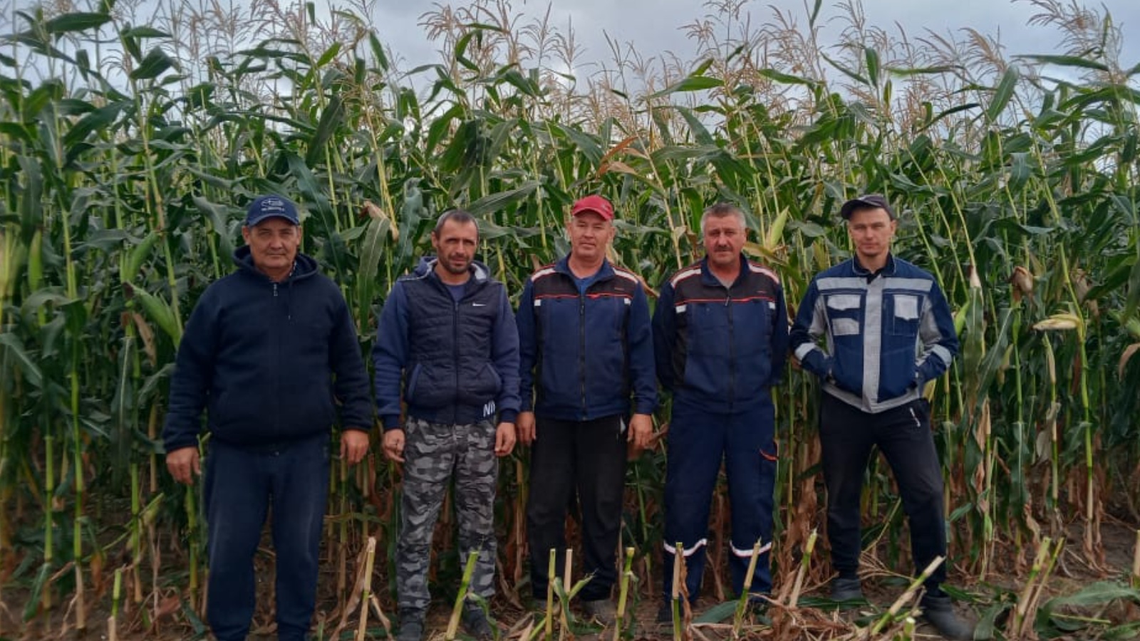 Началась закладка силоса в ООО «Игенче» | 08.09.2022 | Богатые Сабы -  БезФормата