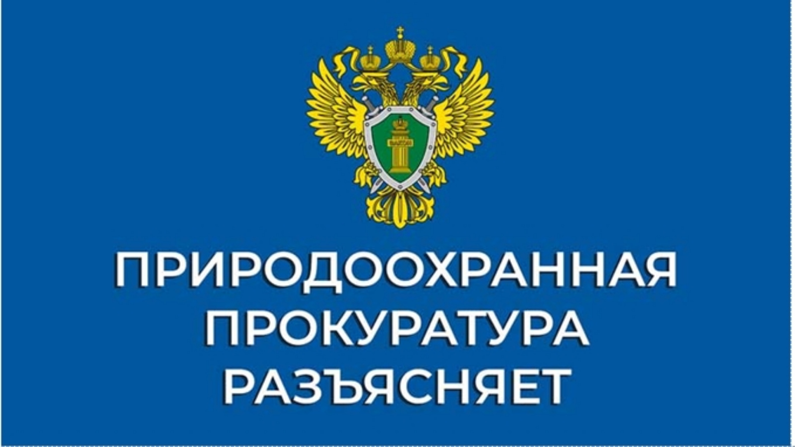 Природоохранная прокуратура разъясняет | 21.06.2024 | Богатые Сабы -  БезФормата