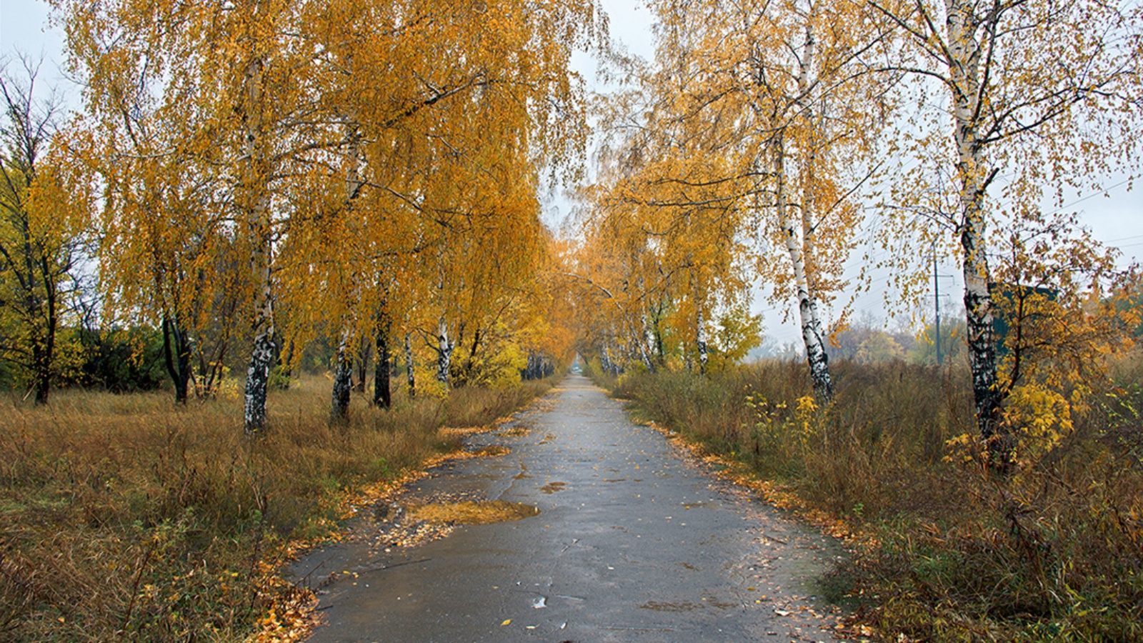 Погода очень. Осень в Бийске. Бийск осенью. Старый Оскол осень. Октябрь.