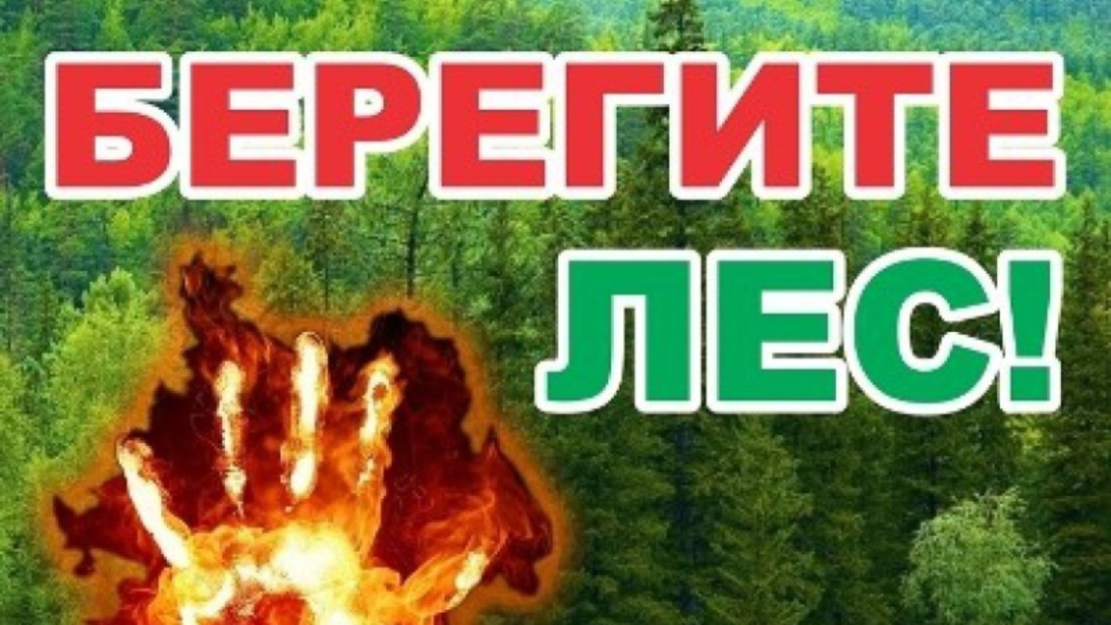 Штормовое предупреждение о высокой пожарной опасности лесов | 27.05.2024 |  Большие Кайбицы - БезФормата