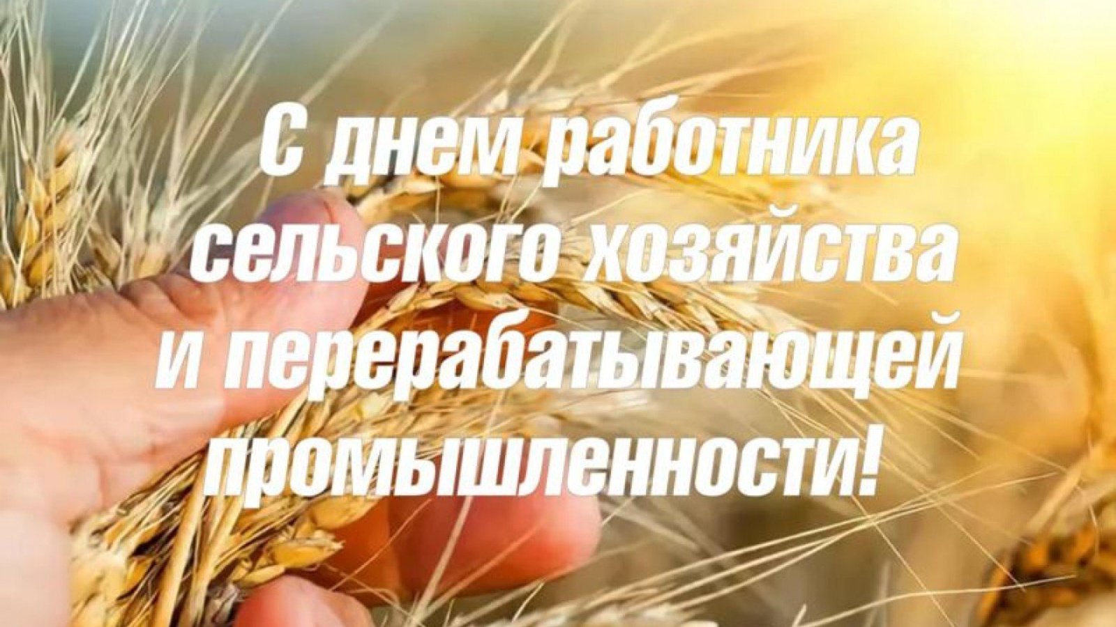 День работников сельского хозяйства и перерабатывающей промышленности