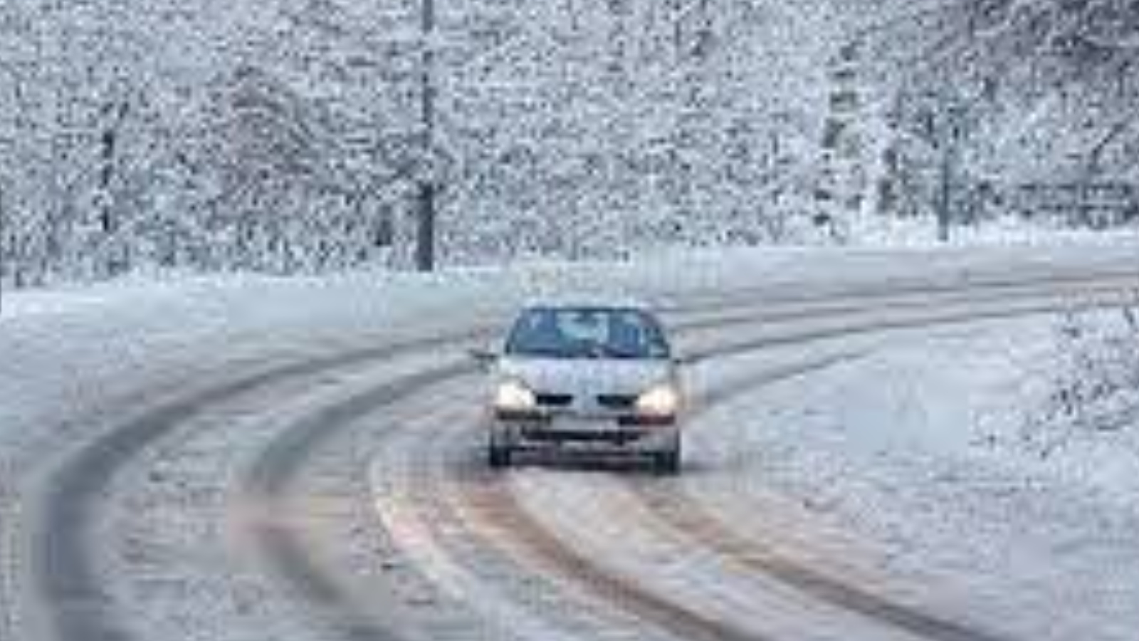 функции теории происхождения государства и права. государственные явления. предмет науки теории государства и права. объектом изучения теории государства и права являются. функции теории государства и права.