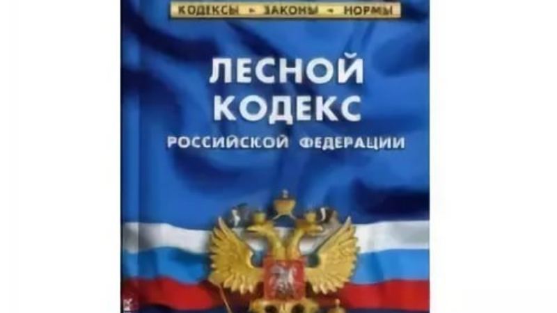 Лесной кодекс. Лесной кодекс Российской Федерации (с изменениями на 26 марта 2022 года). Лесной кодекс книга фото. Лесной кодекс РФ картинка для оформления.