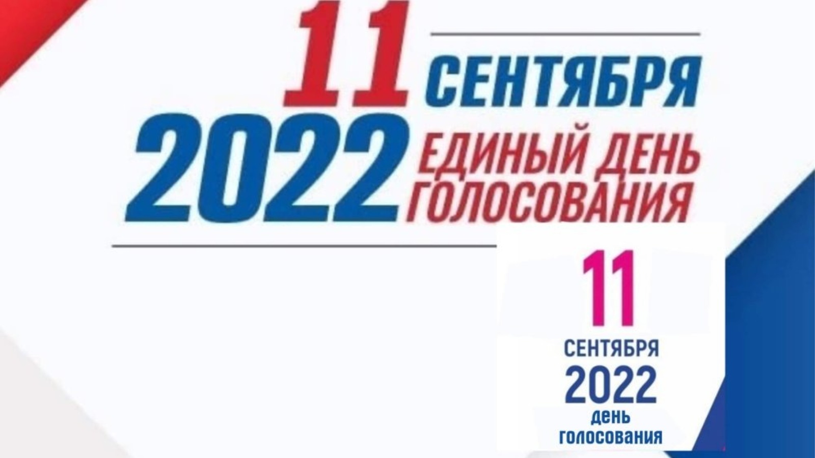 Выборы в сентябре 2024 какого числа