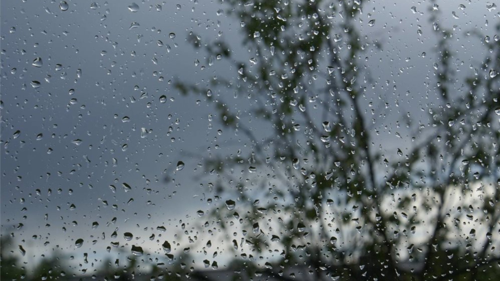Весенне дождливое. Дождь. Весенний ливень. Дождь фото.