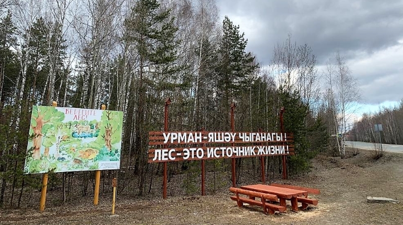 Пригородное лесничество казань карта