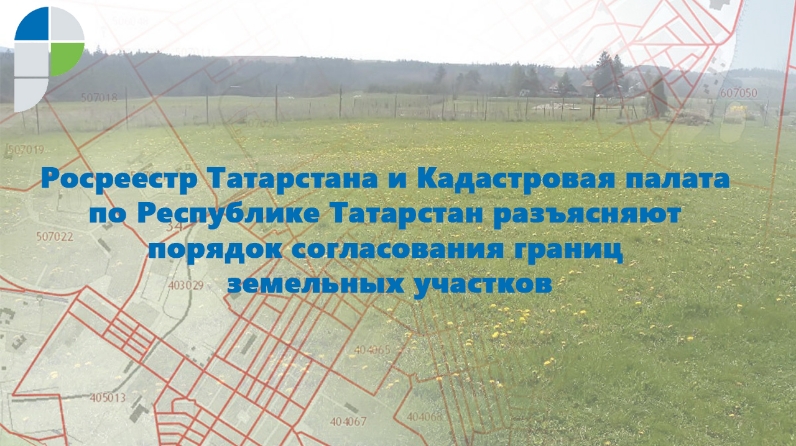 Кадастровая карта татарстана. Картография Татарстана. Кадастровая деятельность Росреестр. Земельный кодекс Республики Татарстан. Статистика межевания в Республике Татарстан.